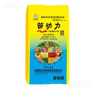 ����(d��ng)�����ø������-��ʯ�R