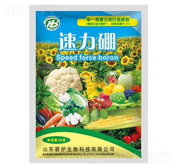 ������-���o(h��)����