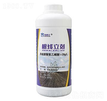 �������w-�鲩ʿ-�s��ʘI(y��)