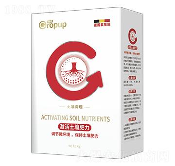 �����{(di��o)����~���-���Z-�¶�����