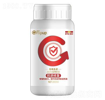 ���������(l��i)�~���-���Z-�¶�����