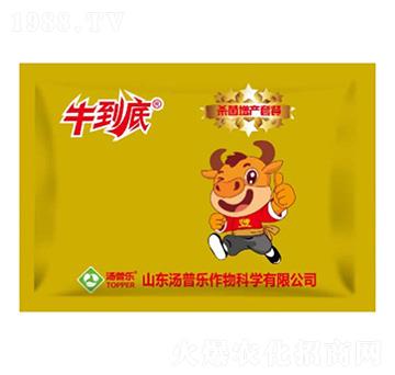 �������a(ch��n)�ײ�-ţ����-���՘�(l��)