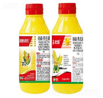 25%���ǡ�ݬȥ��ɷ�ɢ�͑Ҹ���-����-��g�-���՘�(l��)