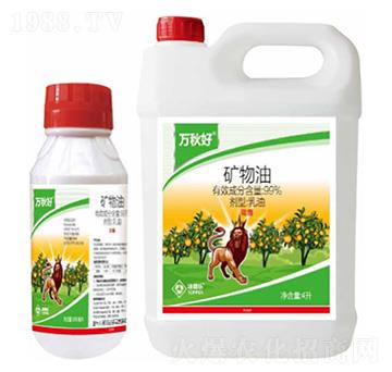 �V��������-�f(w��n)���-���՘�(l��)