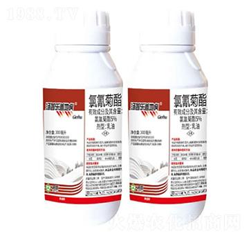 5%�����������-�w�ػ�-���՘�(l��)