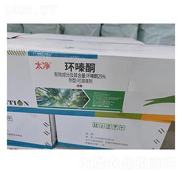 25%�h(hu��n)�ͪ-̫��-ʢ������