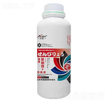 �������΢+-��ɏ-���r(n��ng)��