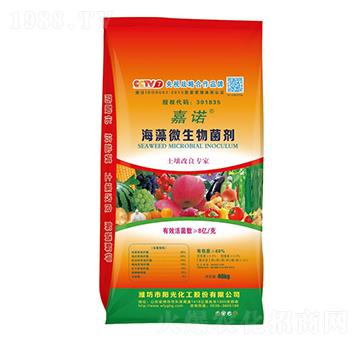 ����΢�������-���Z-�(y��ng)�⻯��