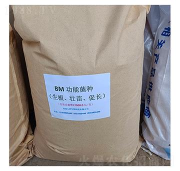 BM生物肥功能菌（生根壯苗促長）-九邦生物