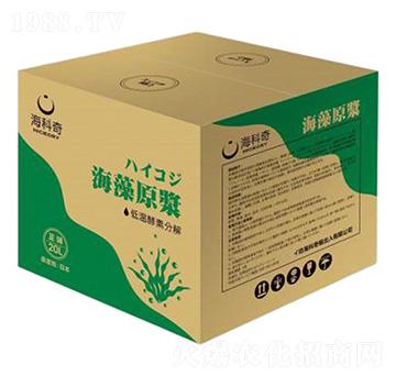 ����ԭ�{-������