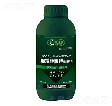 ��������-������