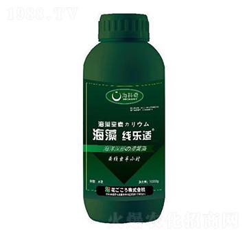 ���往���m-������