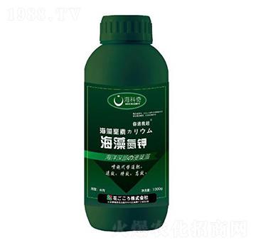 ���嵪�-������