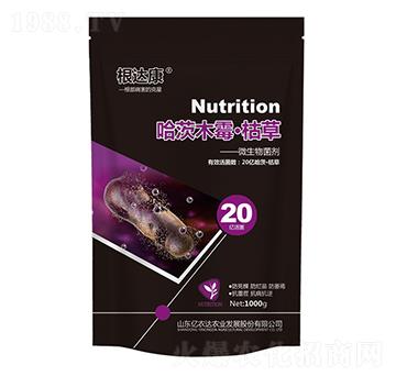 ����ľù�����ݲ�-���_��-�|�r(n��ng)�_�r(n��ng)�I(y��)