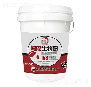 ���������-������(l��)-����˹