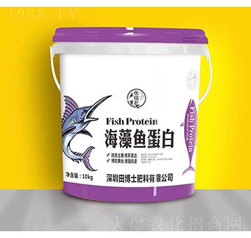 �����~����-�~���-�ﲩʿ