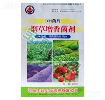 BM��������������Ϳ�