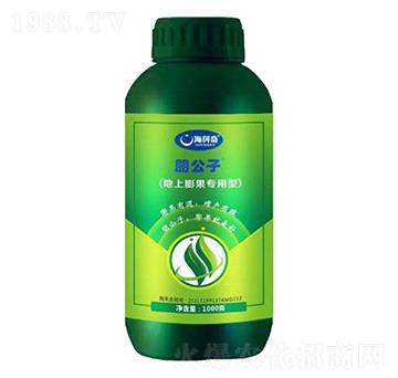 ������������ʹ���Ԫ��ˮ�ܷ���-����-������