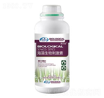 ��������̼���-������