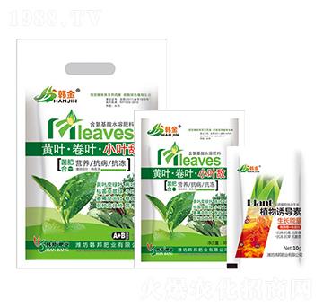 �S�~�����~��С�~��-�n