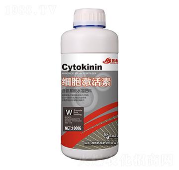 ����������-�n��-�n��