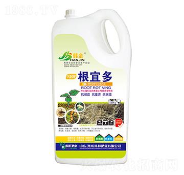 ���˶�-�n��-�n��ʘI(y��)