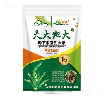 ����ӏ��͵��¸��o���