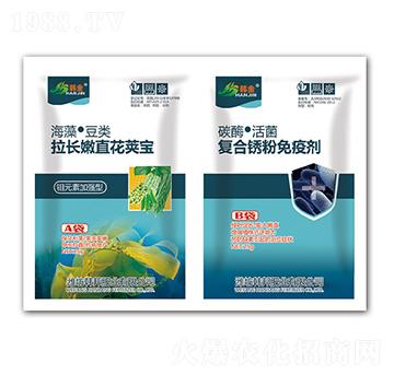 ���L��ֱ��Ӣ��+�ͺ��P