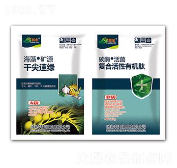 ǧ���پG+�ͺϻ����ЙC��-�n��-�n��ʘI(y��)