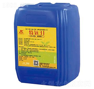 ����31-��δ��