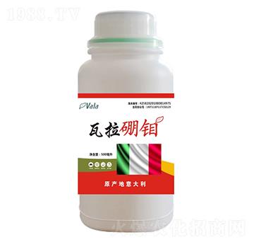 �������f-�۠���