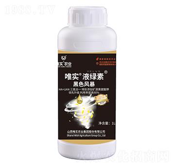 ��ɫ�L��-Ψ����Һ�G��