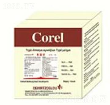 ���נ�-��ͫ����