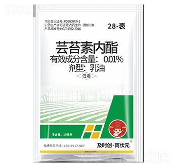 28-��-�|̦�؃�(n��i)������-���r(sh��)��(chu��ng)����?du��)��?���r(sh��)��