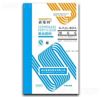 ��(f��)�Ϸ���28-6-6��BSFA��-������-���׵�