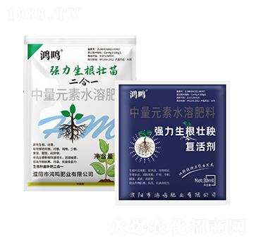 ��(qi��ng)����������-���Q