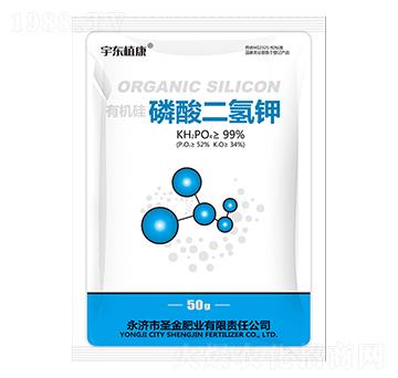 �ЙC(j��)����������-��|ֲ��-ʥ��ʘI(y��)