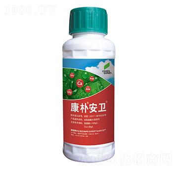 ���㰲�l(w��i)-����