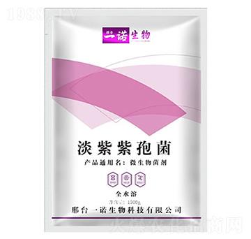 ΢�������-�������߾�-���Z����