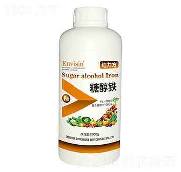 �Ǵ��F-�t����