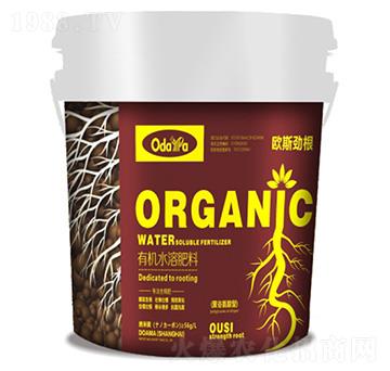 �ЙC(j��)ˮ�ܷ���-�W˹�Ÿ�(�۹Ȱ�����)-�W����