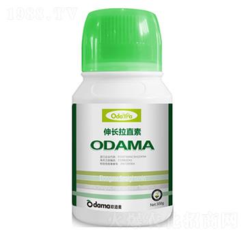 ���L(zh��ng)��ֱ��-�W����