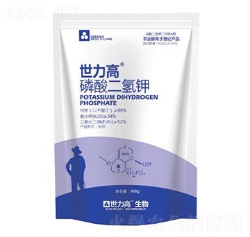 �������⛾���-����������