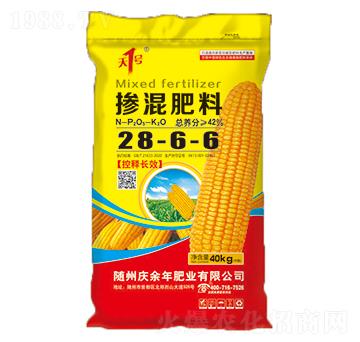 �������28-6-6-��1̖-��˹��