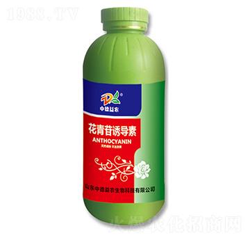 �������T����-�е����r