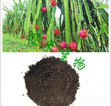 ���������÷�-ӭ������