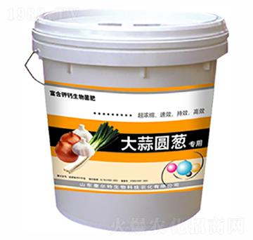 ����A�[���ø��-������