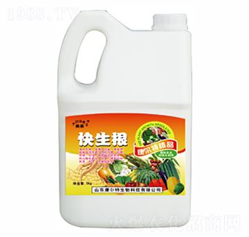 ���������ι��ͣ�-������