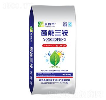 �������@20-20-20-�����S