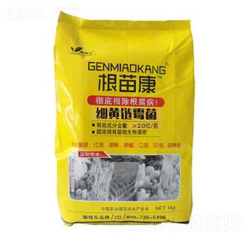 ���S�ù��-���翵-�ڼژ�